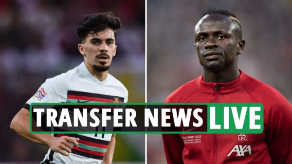 วิธีเล่นพนันบอล เป็นอาชีพ